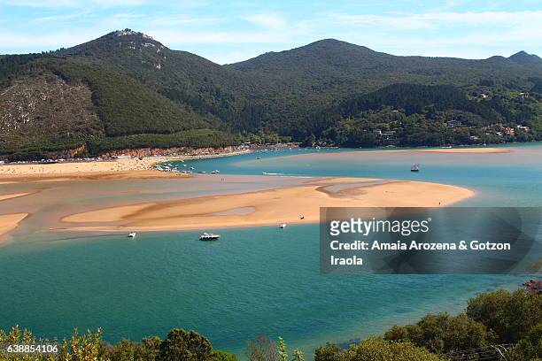 marshes of the urdaibai estuary from mundaka town. biscay province, basque country. - bioreserve stock pictures, royalty-free photos & images