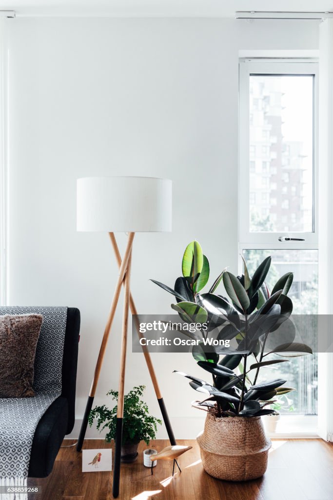 A corner of a stylish living room
