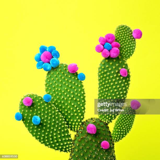 cactus with flowers made from puffballs - kaktus stock-fotos und bilder