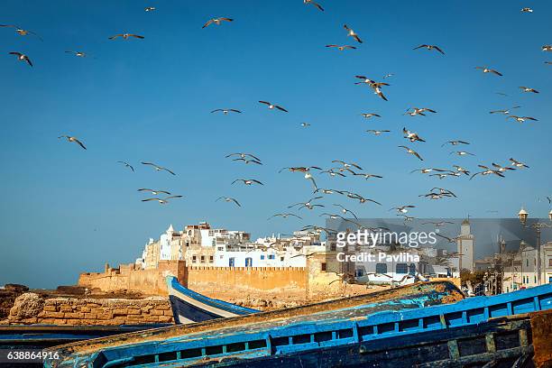 flock of seagulls over the fishing town essaouira, morocco africa - fishing village stock pictures, royalty-free photos & images