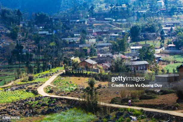 Hmong Where Hmong House Photos and Premium High Res Pictures - Getty Images