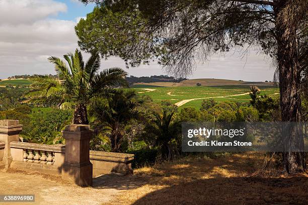 barossa view - barossa stock pictures, royalty-free photos & images