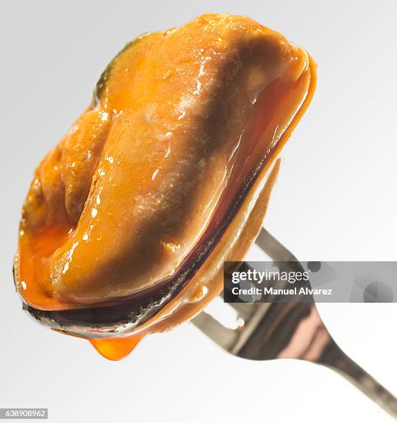 mussel with holder - mussels stock pictures, royalty-free photos & images