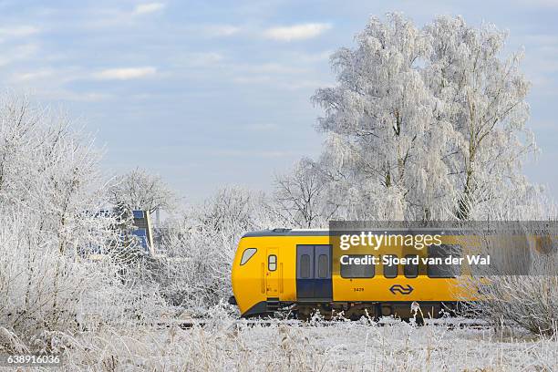 dutch railways s-bahn fährt durch eine gefrorene winterlandschaft - "sjoerd van der wal" stock-fotos und bilder