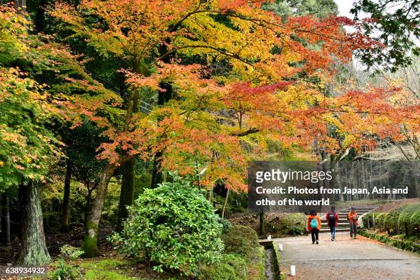 autumn foliage of daigo-ji temple, kyoto - daigoji stock pictures, royalty-free photos & images
