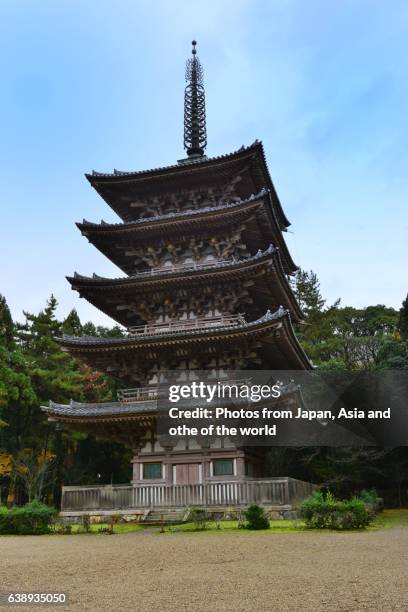 five-story pagoda of daigo-ji temple, kyoto - daigoji stock pictures, royalty-free photos & images