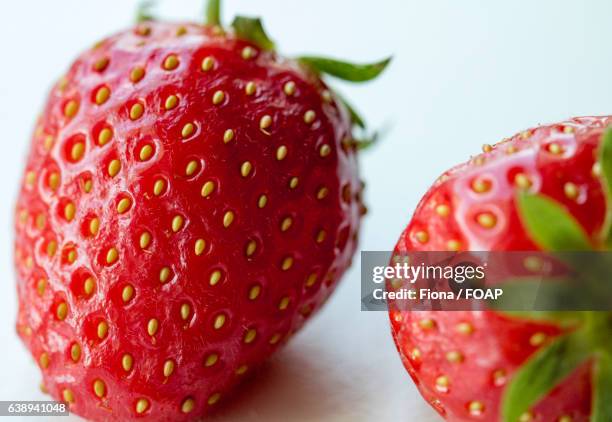 Strwberry Seed Pattern 340 Strawberry Seed Pattern Stock Photos, High-Res Pictures, and Images ...