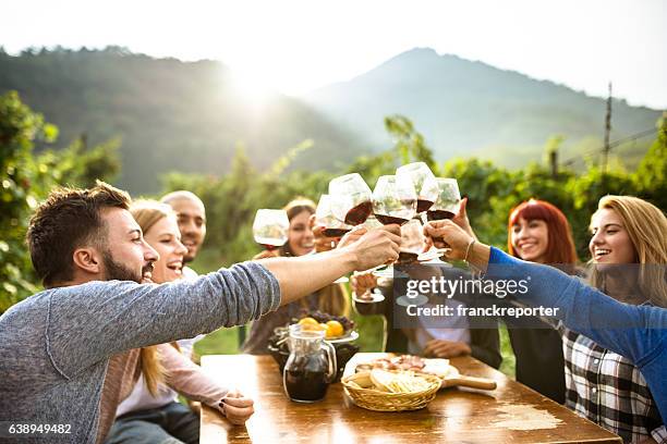 amigos brindis con vino tinto después de la recolección - california del norte fotografías e imágenes de stock