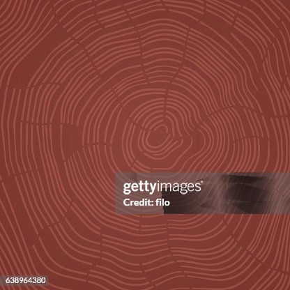 Abstract Tree Rings Abstract Tree Rings