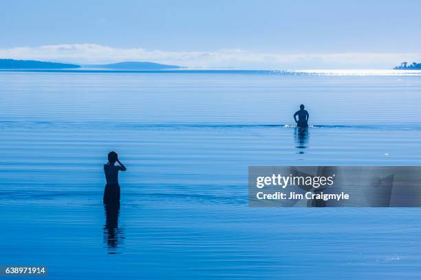 early morning swim manitoulin island - manitoulin stock pictures, royalty-free photos & images