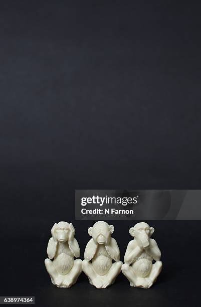 3 wise monkeys - monkey see stock pictures, royalty-free photos & images