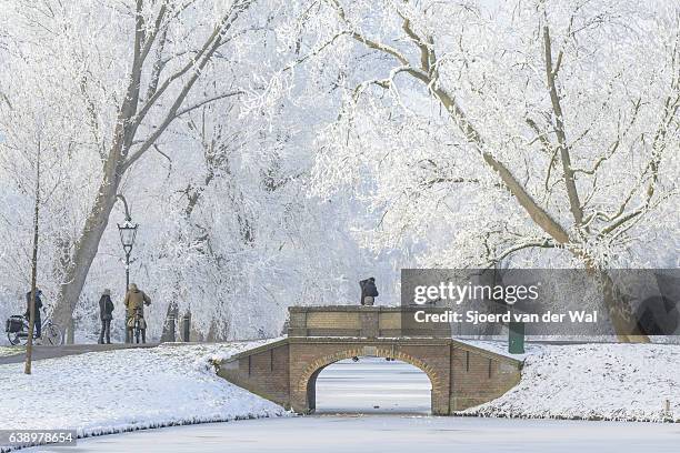 persone che scattano foto del paesaggio innevato invernale a kampen - "sjoerd van der wal" foto e immagini stock