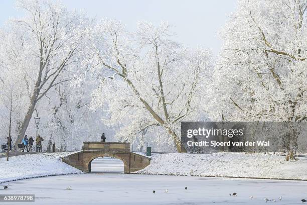 menschen, die die schneebedeckte winterliche landschaft in kampen fotografieren - "sjoerd van der wal" stock-fotos und bilder