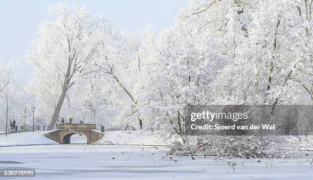 persone che scattano foto del paesaggio innevato invernale a kampen - "sjoerd van der wal" foto e immagini stock