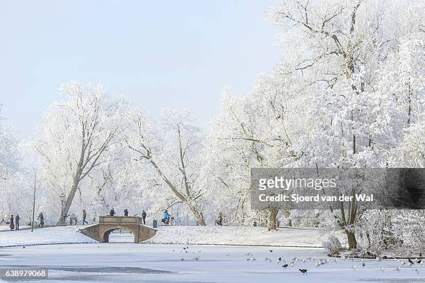 people taking pictures of the snowy wintry landscape in kampen - "sjoerd van der wal" stock pictures, royalty-free photos & images