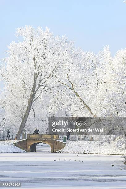 people taking pictures of the snowy wintry landscape in kampen - "sjoerd van der wal" stock pictures, royalty-free photos & images