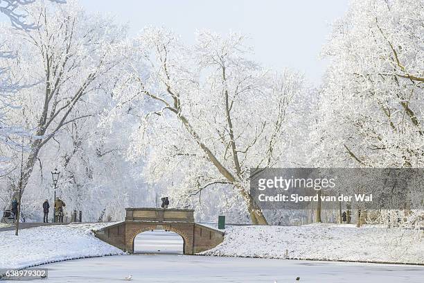 people taking pictures of the snowy wintry landscape in kampen - "sjoerd van der wal" stock pictures, royalty-free photos & images