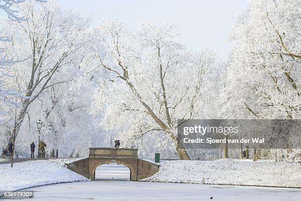 people taking pictures of the snowy wintry landscape in kampen - sjoerd van der wal or sjonature imagens e fotografias de stock