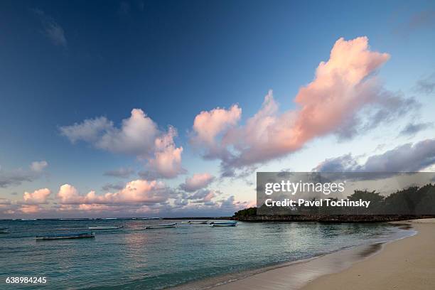 cotton bay beach on remote rodrigues at sunset - réunion foto e immagini stock