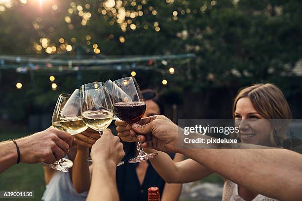 vino un poco, te hará sentir mejor - brindar fotografías e imágenes de stock