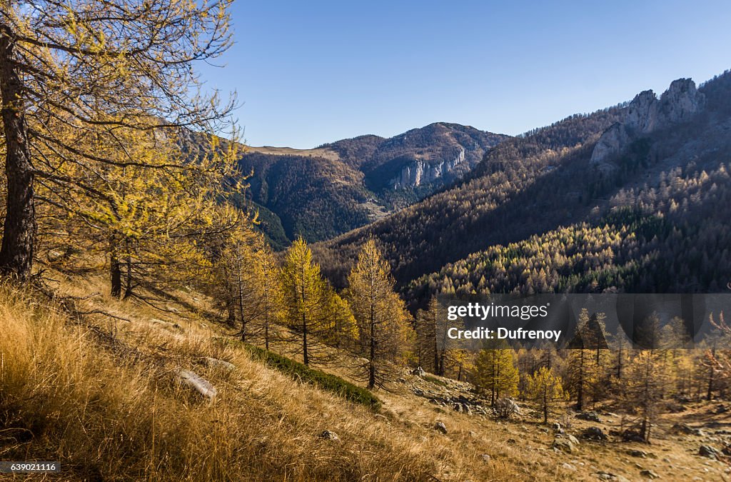 Lac des Gernouilles, Mercantour, automne