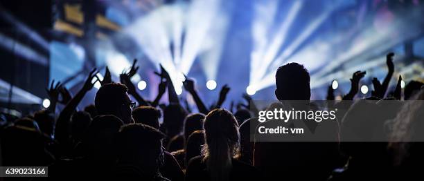 people at a concert with raised hands - panoramic stock pictures, royalty-free photos & images