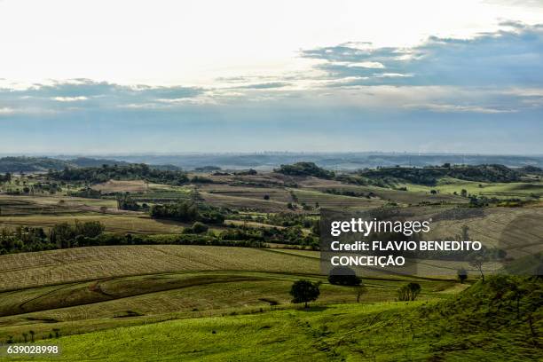 paisagem rural em fazenda - paisagem natureza stock-fotos und bilder