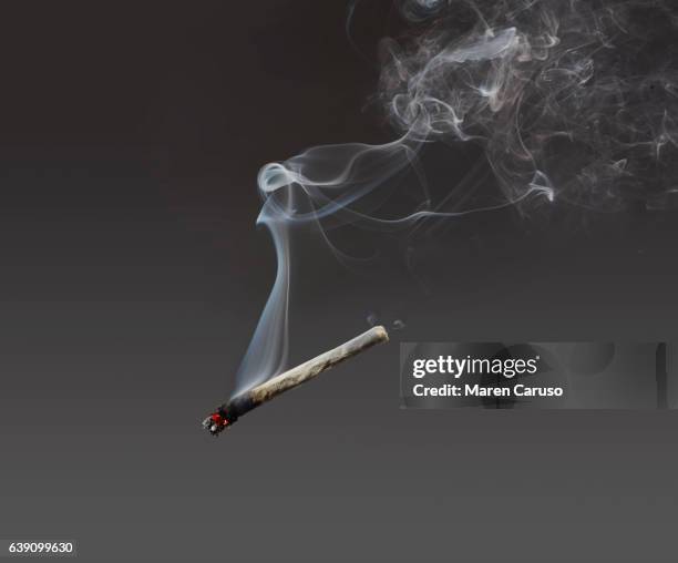 marijuana joint - fumer du tabac photos et images de collection