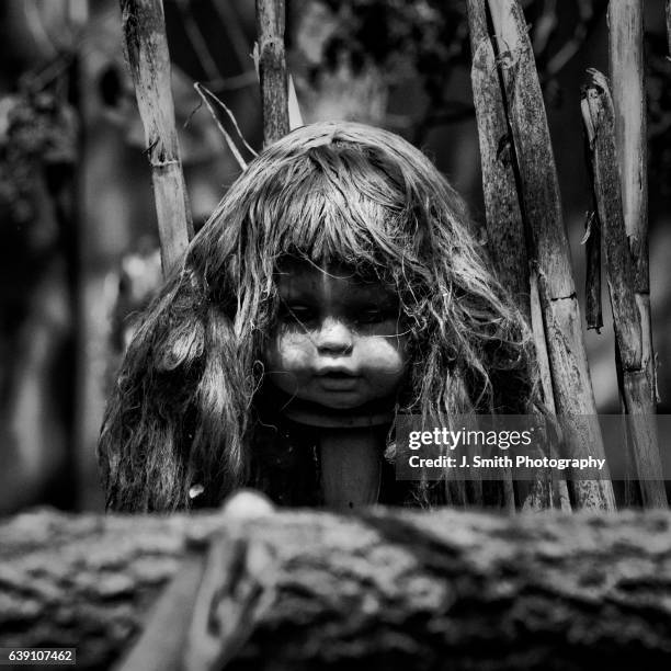 doll head, island of the dolls, xochimilco, mexico city, mexico - doll imagens e fotografias de stock