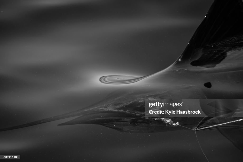 Breaking the surface