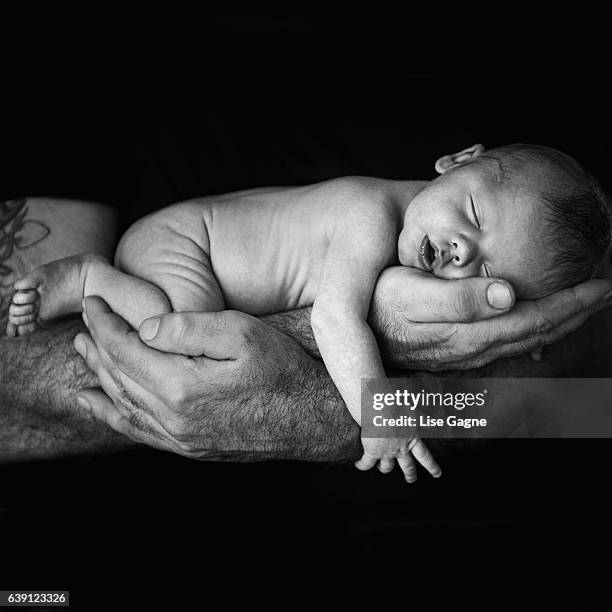 father holding newborn baby - lise gagne stock pictures, royalty-free photos & images