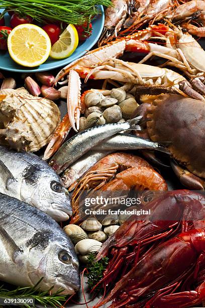 seafood background - catch of fish stock pictures, royalty-free photos & images