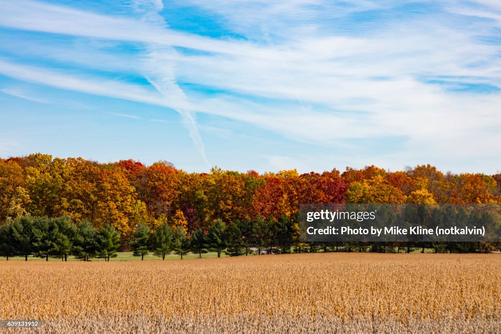 Fall Season Line Fall Lineup High-Res Stock Photo - Getty Images