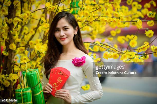 vietnamese young women wearing traditional ao dai with tet decoration background - tet stock-fotos und bilder