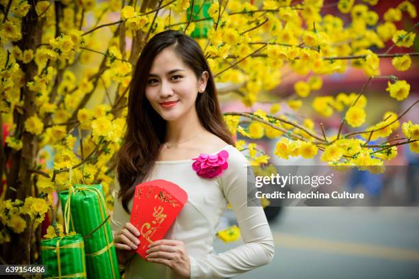 vietnamese young women wearing traditional ao dai with tet decoration background - tet - fotografias e filmes do acervo