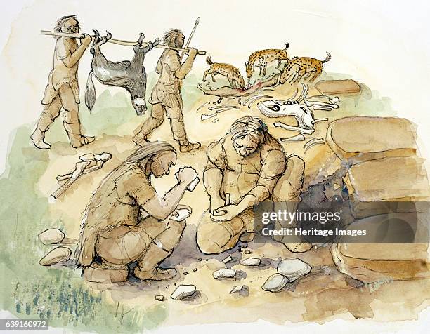 Hominids and Hyenas, Upper Paleolithic, . Glaston, Rutland. Reconstruction drawing of hominids and hyenas. Middle to Upper Palaeolithic period,...