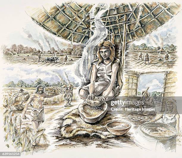 Neolithic Wind Instrument 6.196 Neolithic Stock Photos, High-Res Pictures, and Images - Getty Images