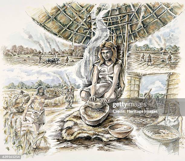 Neolithic Grain Production, . Reconstruction drawing of Grime's Graves, Norfolk, a large Neolithic flint mining complex. Artist Peter Dunn.