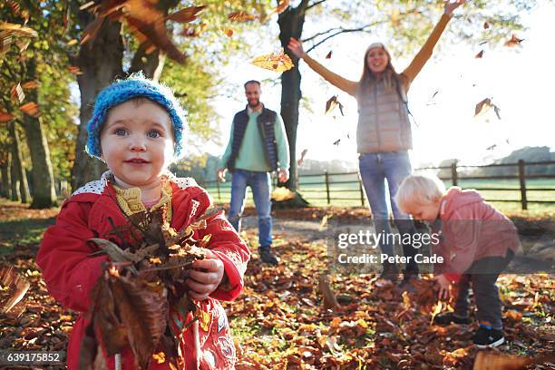 family playing with fallen leaves in park - peter parks stock pictures, royalty-free photos & images