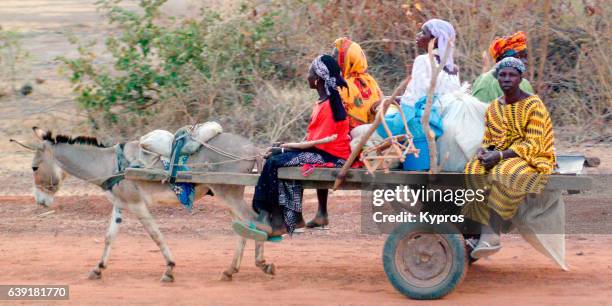 African Riding Wheel 118 Black Donkey Cart Stock Photos, High-Res Pictures, and Images ...