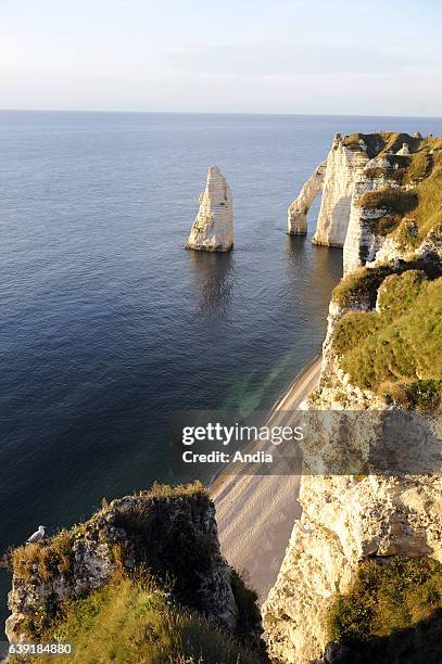 Cliffs of Etretat on the Alabaster coast in the "Pays de Caux" area. "L'Aiguille" rock and the "Porte d'Aval" natural arch.