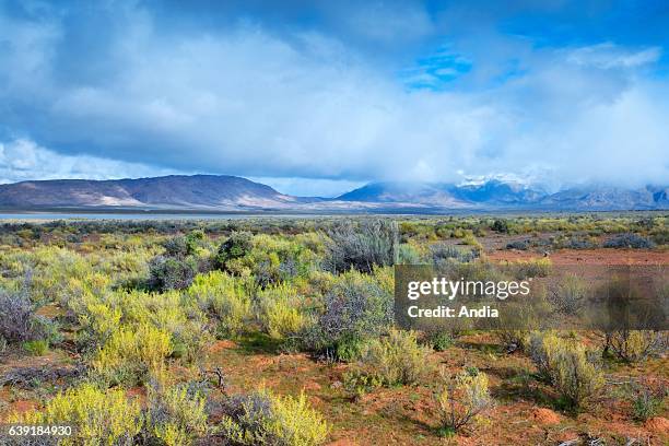 Typical landscape of the Karoo, a semi-desert natural region, Camdeboo National Park, near the Eastern Cape town of Graaff-Reinet, South Africa.