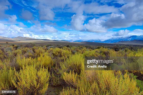 Typical landscape of the Karoo, a semi-desert natural region, Camdeboo National Park, near the Eastern Cape town of Graaff-Reinet, South Africa.