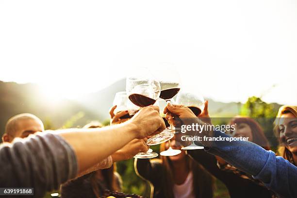 amigos brindando com vinho tinto, depois da colheita - napa valley - fotografias e filmes do acervo