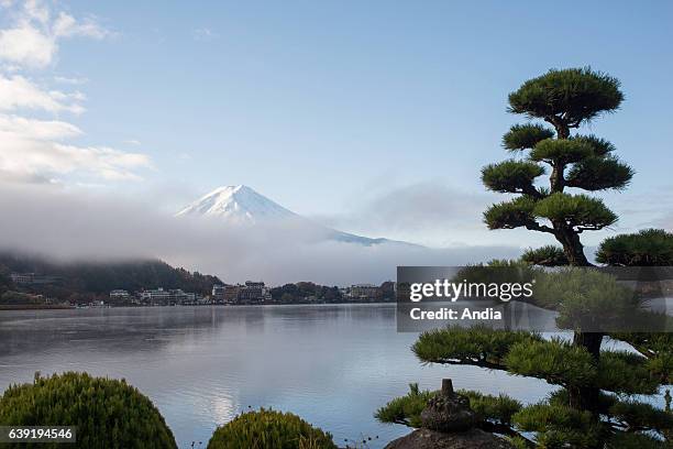 Kawaguchiko lake in Fuji-Hakone-Izu national park in Chubu area on Honshu island in the background, mount Fujit.