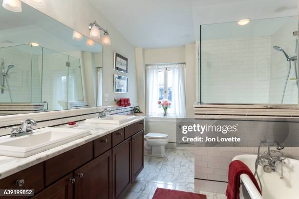 bathroom with a blend of modern and vintage design - baignoire sur pieds photos et images de collection