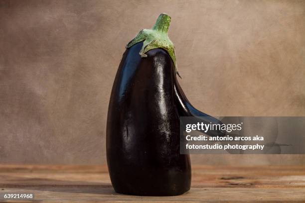 eggplant portrait - appendix stock-fotos und bilder