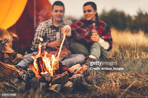 fireplace - bonfire stock pictures, royalty-free photos & images