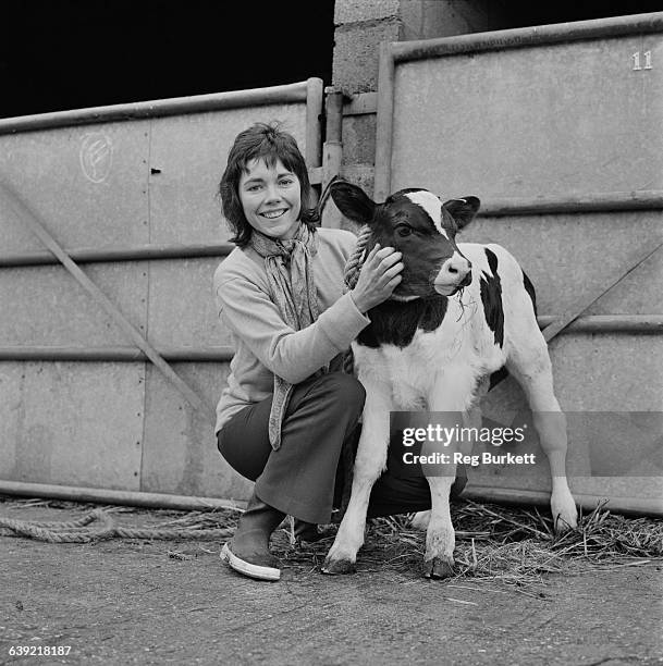 British actress Lucy Fleming at home in Oxfordshire, UK, 7th May 1971. She is the daughter of actress Celia Johnson and the niece of author Ian...