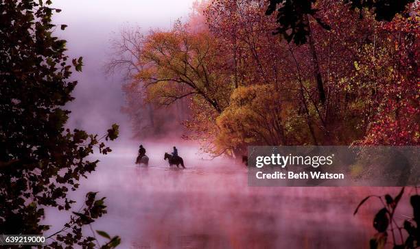 horses and riders crossing the river on a foggy autumn morning - ozark mountains fotografías e imágenes de stock